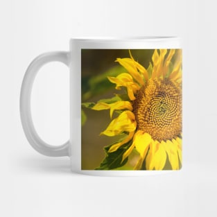 blb patterns sunflower Mug